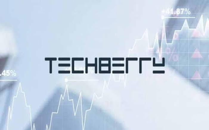 what-is-techberry